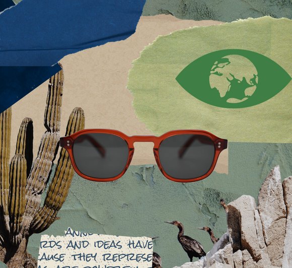 Why Sustainable Eyewear Matters